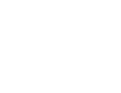 South Carolina map shape