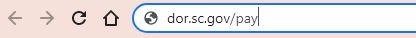image of someone typing "dor.sc.gov/pay" into the web address bar of a browser window