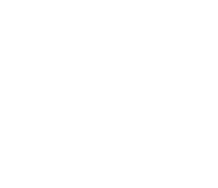 SC Tax Free Weekend logo white